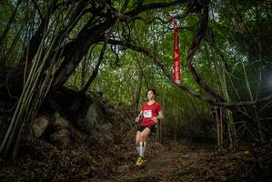 BIB: 
                            <button type="button" onclick="openModal(22177261)" class="btn btn-primary btn-sm float-right btn-popup" data-toggle="modal" data-target=".modal-high-quality">
                        <i class="fas fa-shopping-cart"></i> Add to Cart
                    </button>
                                            <button type="button" onclick="isThisMe(22177261, true)" class="btn btn-success btn-sm float-right btn-popup btn-isme hidden" data-toggle="tooltip" data-placement="bottom" title="นี่คือรูปของคุณใช่ไหม คลิกที่นี่เพื่อเอาเข้าอัลบั้ม">
                        <i class="fas fa-plus"></i> Add to album
                    </button>
                    <button type="button" onclick="isThisMe(22177261, false)" class="btn btn-warning btn-sm float-right btn-popup btn-isnotme hidden">
                        <i class="fas fa-ban"></i> Remove from album
                    </button>